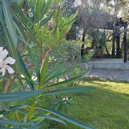 Tenuta Terenzano