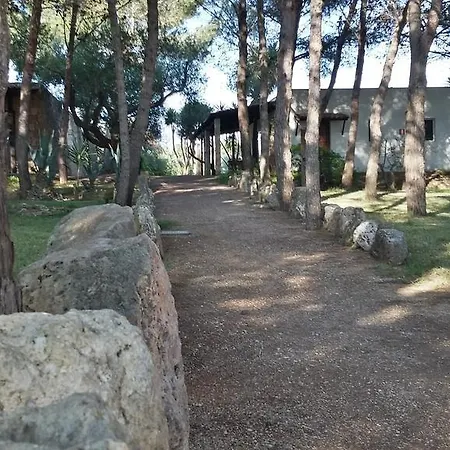 Tenuta Terenzano