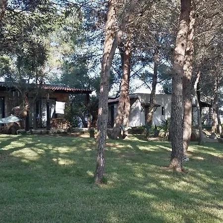 Tenuta Terenzano